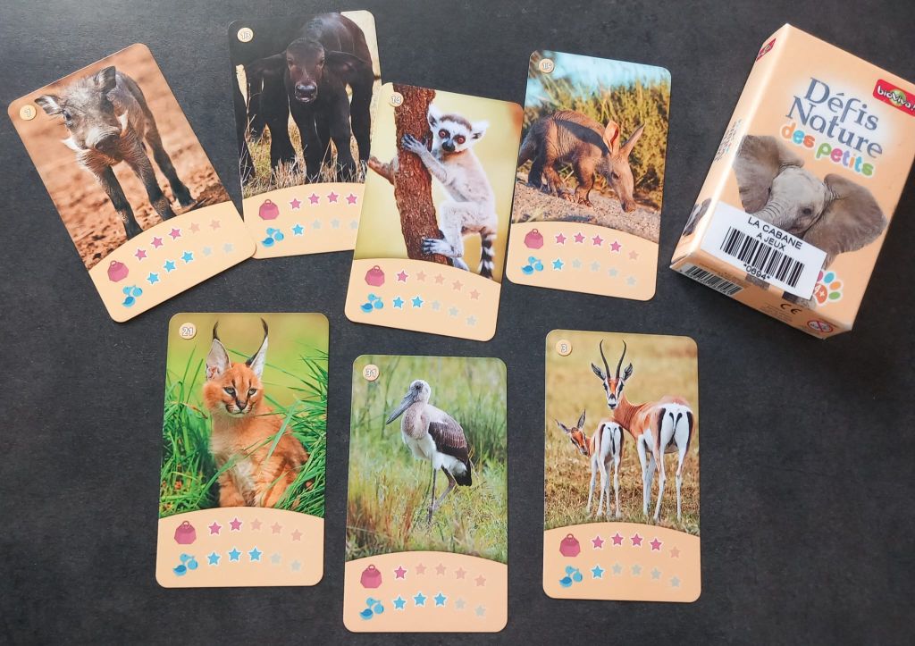 défi nature junior la savane